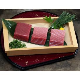 『年越しまぐろ』 国産養殖 生本まぐろ 約500g （赤身1柵トロ2柵）※冷蔵【年末年始も指定可】送料無料