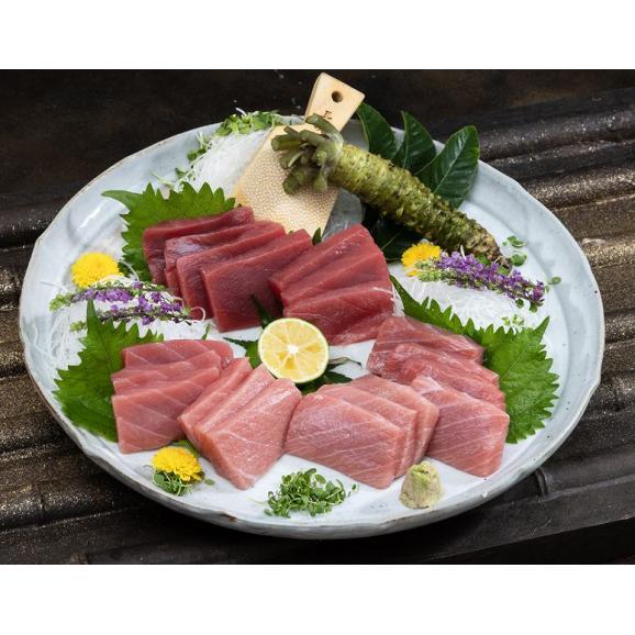 『年越しまぐろ』 国産養殖 生本まぐろ 約500g （赤身1柵トロ2柵）※冷蔵【年末年始も指定可】送料無料02