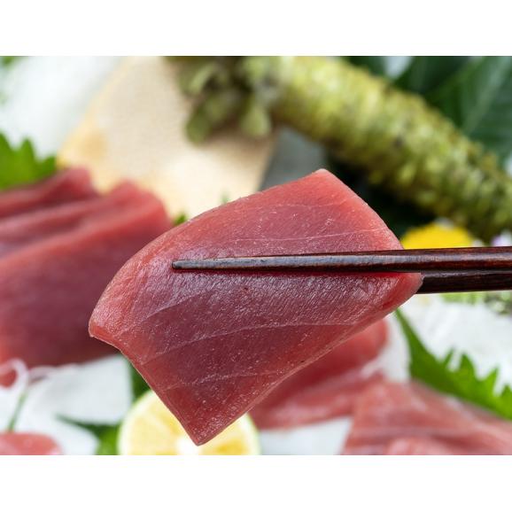 『年越しまぐろ』 国産養殖 生本まぐろ 約500g （赤身1柵トロ2柵）※冷蔵【年末年始も指定可】送料無料03
