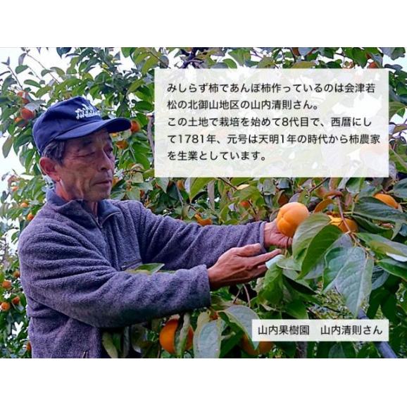 会津みしらず柿で作る『山内果樹園のあんぽ柿』福島県会津若松産 約1kg（12～16個入）化粧箱 ※常温 送料無料03