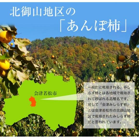 会津みしらず柿の あんぽ柿　福島県会津若松産　230g×4袋（合計920ｇ）※常温 送料無料03