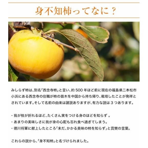 会津みしらず柿の あんぽ柿　福島県会津若松産　230g×4袋（合計920ｇ）※常温 送料無料05