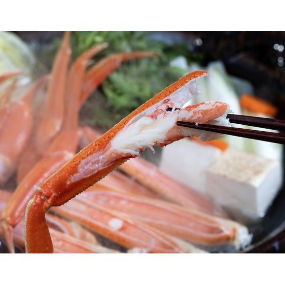 ズワイガニ ボイル済み 5〜6肩 総重量 約1.2kg（解凍後NET1.0kg） ノルウェー産・日本加工 ※冷凍　送料無料02