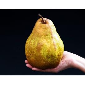 【カード・代引き限定】特大『シルバーベル』山形県産 秀〜特秀 約5kg（5〜10玉）産地箱 風袋込 ※常温　送料無料