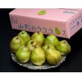 【カード・代引限定】『ラ・フランス』山形県産 洋梨 秀～特秀 約5kg（18～20玉）産地箱 風袋込 ※常温　送料無料