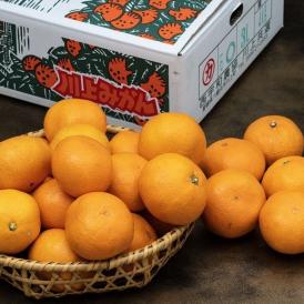 【カード・代引限定】天皇杯受賞産地　川上みかん 愛媛県産 超大玉 3Lサイズ 風袋込 約4kg 産地箱 ※常温 川上共選　送料無料