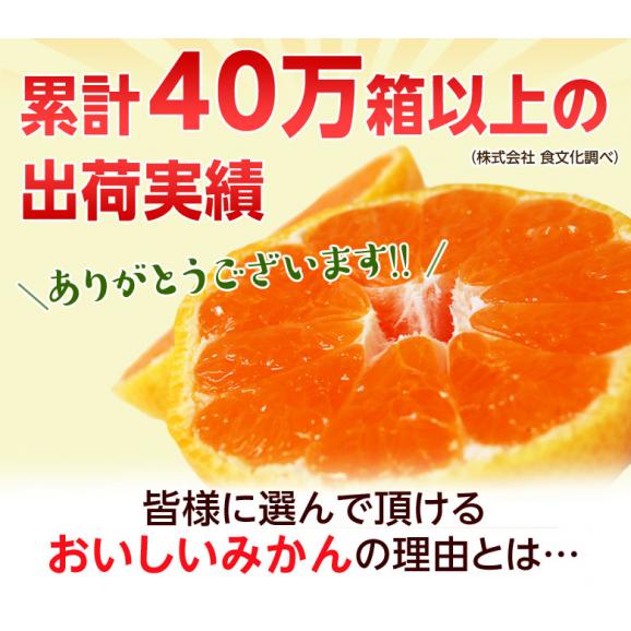 【カード・代引限定】天皇杯受賞産地　川上みかん 愛媛県産 超大玉 3Lサイズ 風袋込 約4kg 産地箱 ※常温 川上共選　送料無料03