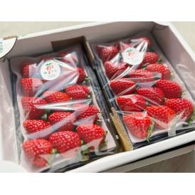 あまりん 埼玉県産 いちご 2パック（1パック 約250g）産地箱 ※冷蔵　※送料無料