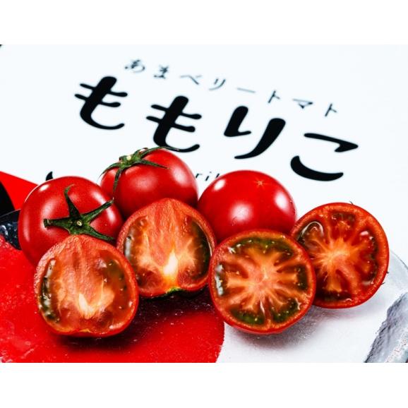 糖度9度選別　ももりこトマト　徳島県産 フルーツトマト 特選 風袋込 約1kg（15〜24玉）樫山農園 産地箱 ※常温02