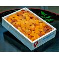 カード又は代引き限定　エゾバフンウニ　弁当箱 / バラB品 ロシア産 約250g ※冷蔵　送料無料　ウニ　訳あり