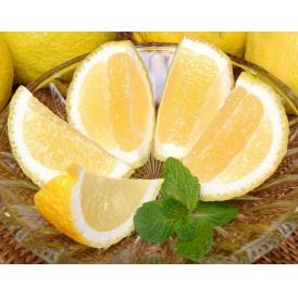 JA蒲郡市 ご自宅用『はるか』愛知県産 L～2L 約4kg 産地箱 風袋込 ※常温　多少のキズあり　送料無料