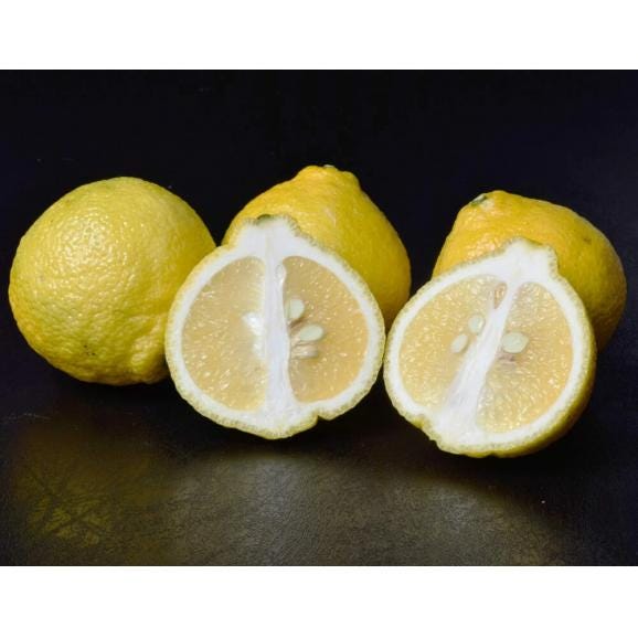 JA蒲郡市 ご自宅用『はるか』愛知県産 L～2L 約4kg 産地箱 風袋込 ※常温　多少のキズあり　送料無料03