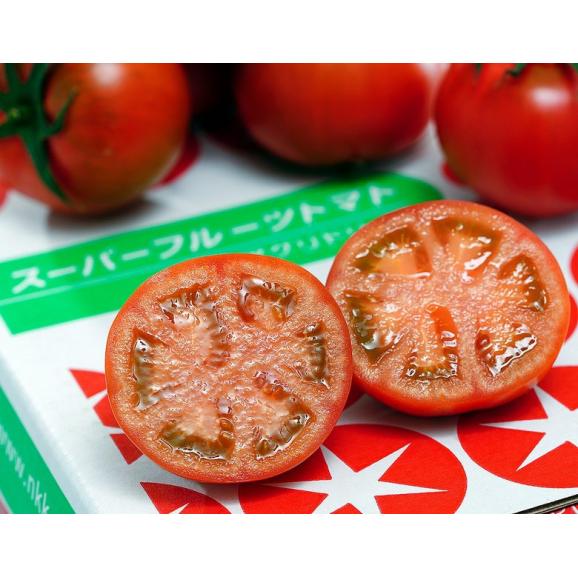 糖度9度以上 NKK スーパーフルーツトマト 茨城県産 2箱（1箱 約800g 7～16玉）産地箱 風袋込 ※冷蔵　送料無料03