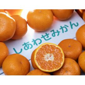 西田秀基さんの 『完熟みかん』 山口県周防大島産　約3kg　S～Lサイズ（目安26～35個） ※常温 レモン1個入　しあわせみかん　送料無料