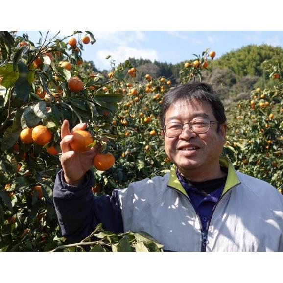 西田秀基さんの 『完熟みかん』 山口県周防大島産　約3kg　S～Lサイズ（目安26～35個） ※常温 レモン1個入　しあわせみかん　送料無料03