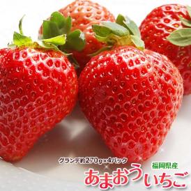 福岡産いちご ”博多あまおう” 最高等級EX(エクセレント) 1箱 福岡産いちご ”博多あまおう” 最高等級EX(エクセレント) 1箱