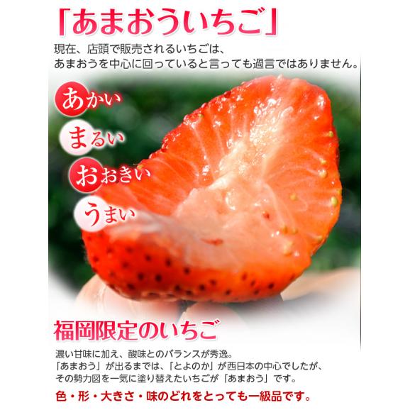 あまおう G（グランデ） 福岡県産 約270g×4P 送料無料 ※冷蔵　いちご イチゴ 苺04
