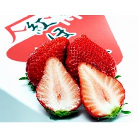 紅ほっぺ　静岡県産いちご DX 4パック（1パック：約260g）産地箱 ※冷蔵　送料無料