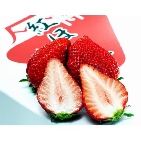 とくしまオーガニックいちご・大粒(15~12粒 さちのか)1箱