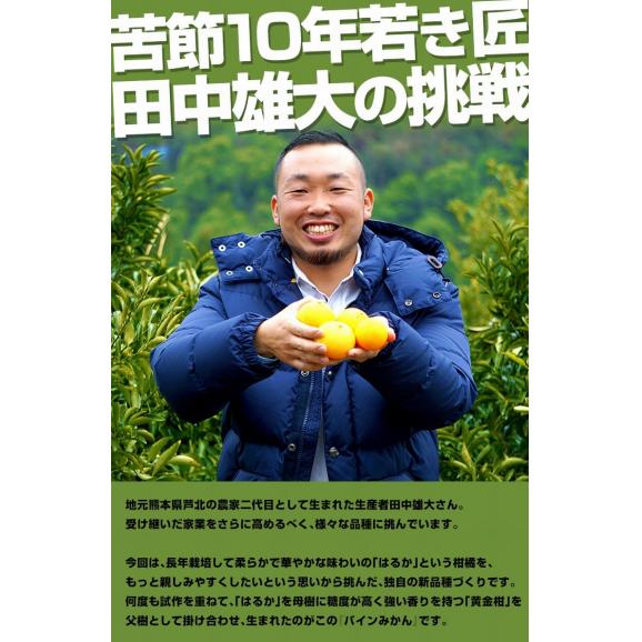 【訳あり品 】 田中雄大さんのパインみかん 小～大込　風袋込 約2kg 熊本県産 （1玉あたり30～130ｇ程度） 簡易箱 ※常温　送料無料06