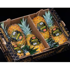 大玉　ハニーグロー（HONEYGLOW） フィリピン産パイナップル 約12kg（6玉）産地箱 風袋込 ※冷蔵　送料無料