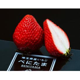 『べにたま』埼玉県産いちご 約250g×2パック 産地箱 風袋込 ※冷蔵　送料無料