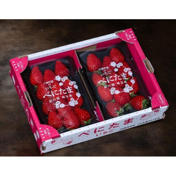 『べにたま』埼玉県産いちご 約250g×2パック 産地箱 風袋込 ※冷蔵　送料無料03