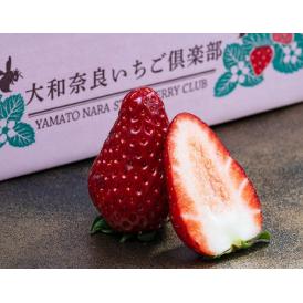 苺 古都華 奈良県産いちご 2～3L 計約1kg 約250g×4パック 産地箱 風袋込 ※冷蔵　送料無料