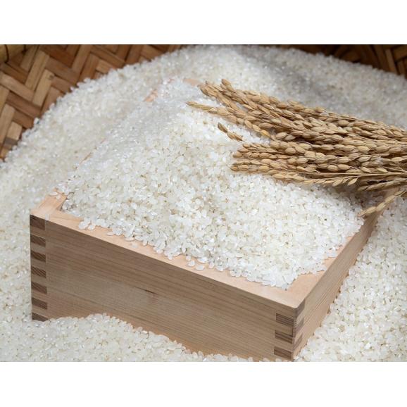 【令和6年度産】『魚沼産コシヒカリ』 新潟県産 白米10kg（5kg×2） ※常温 送料無料03