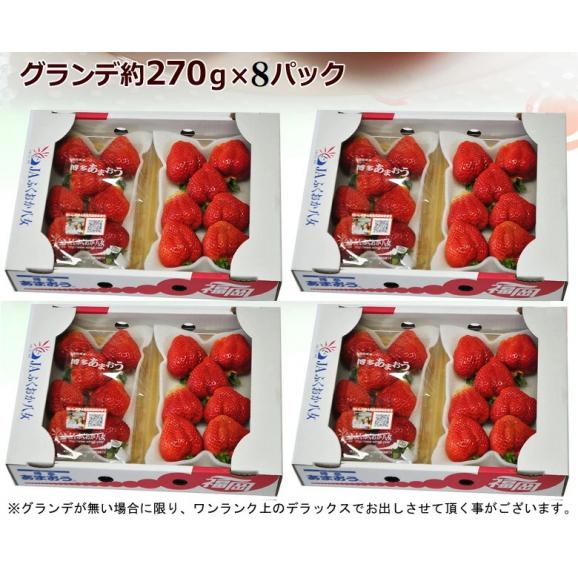 あまおう G（グランデ） 福岡県産 約270g×8P 送料無料 ※冷蔵　いちご イチゴ 苺02