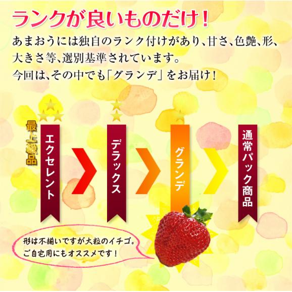 あまおう G（グランデ） 福岡県産 約270g×8P 送料無料 ※冷蔵　いちご イチゴ 苺03