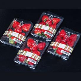 『あまりん』埼玉県産いちご 約150g×4パック 産地箱 風袋込 ※冷蔵　※送料無料