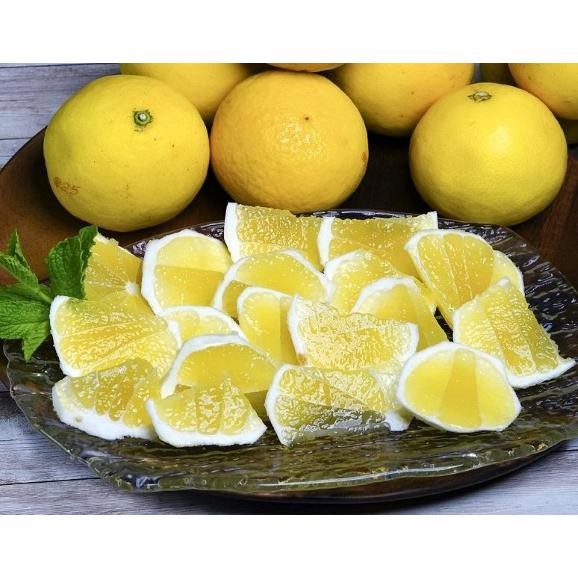 『宿毛の小夏』 高知県産 柑橘 M〜3L 約5kg 産地箱 風袋込 多少のキズ・スレ等あり ※常温　※送料無料02