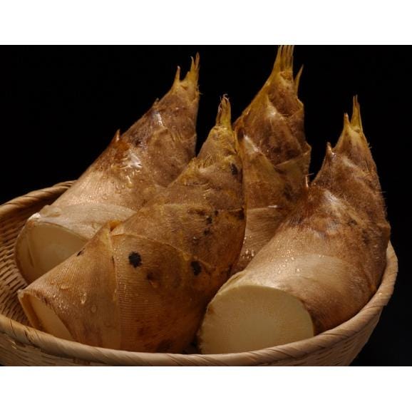 【日本限定モデル】 無選別品『たけのこ』 鹿児島・熊本・福岡県産 約2kg (4-10本 野菜