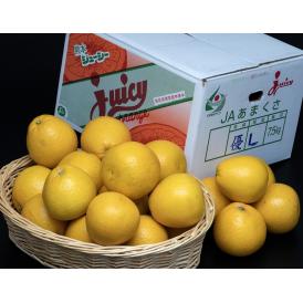 小玉ジューシー　熊本県産 S～M 約7.5kg 産地箱 風袋込 品種：河内晩柑 ※常温　送料無料 柑橘
