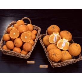 柑橘2種セット『デコポン 約2.5kg +農6（のうろく） 約2.5kg 』 計約5kg ※常温　送料無料