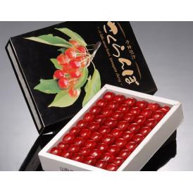『佐藤錦』山形県産 露地さくらんぼ Lサイズ 秀品 約300g 手詰め化粧箱 ※冷蔵【産地直送】 送料無料