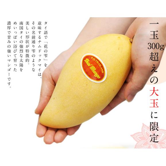大玉 ナンドクマイ　タイ産マンゴー　計約1.5kg（4玉）簡易箱 空輸 ※常温 送料無料02