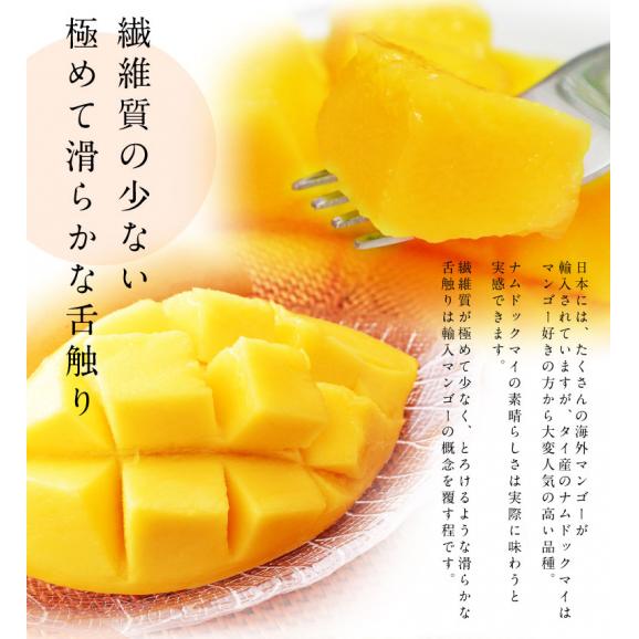 大玉 ナンドクマイ　タイ産マンゴー　計約1.5kg（4玉）簡易箱 空輸 ※常温 送料無料03