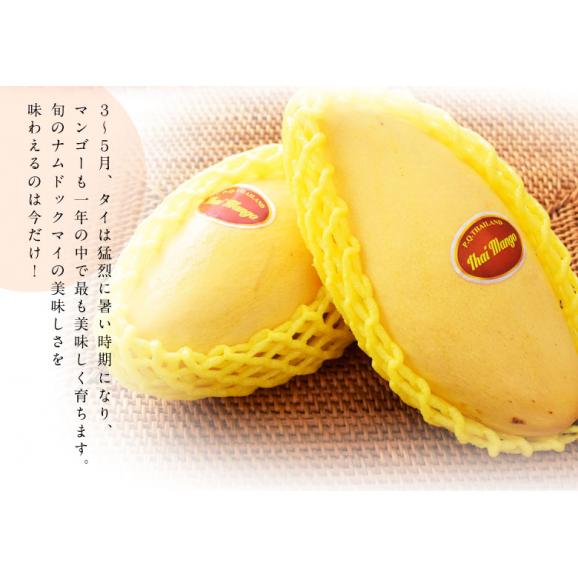大玉 ナンドクマイ　タイ産マンゴー　計約1.5kg（4玉）簡易箱 空輸 ※常温 送料無料04