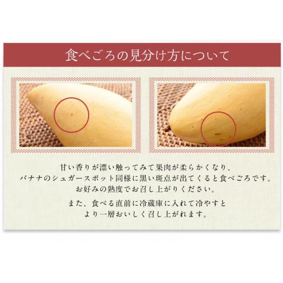 大玉 ナンドクマイ　タイ産マンゴー　計約1.5kg（4玉）簡易箱 空輸 ※常温 送料無料05