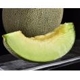 『アーバンデリシャス（品種：タカミ）』青森県産 つがりあんメロン 秀品 1玉 約1.5kg 産地箱 ※常温 送料無料