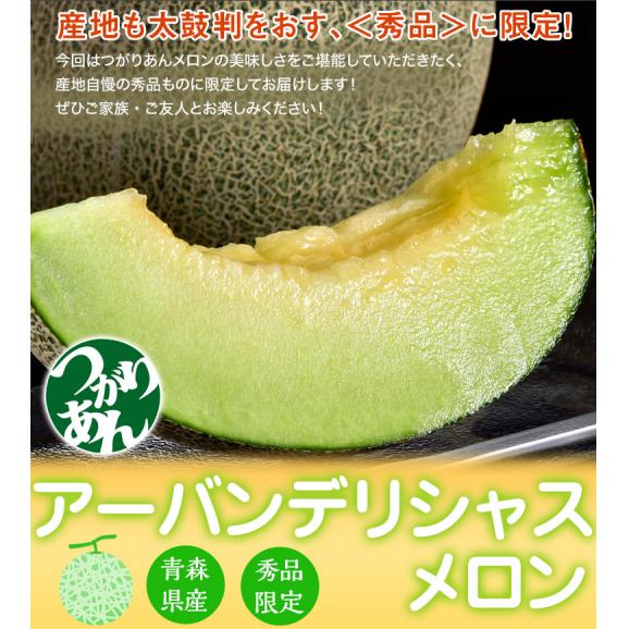 『アーバンデリシャス（品種：タカミ）』青森県産 つがりあんメロン 秀品 1玉 約1.5kg 産地箱 ※常温 送料無料02