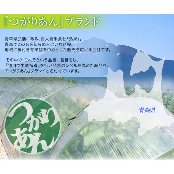 『アーバンデリシャス（品種：タカミ）』青森県産 つがりあんメロン 秀品 1玉 約1.5kg 産地箱 ※常温 送料無料03