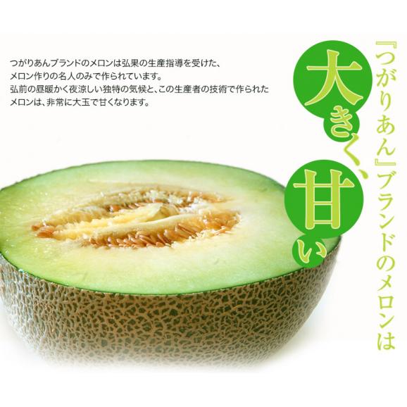 『アーバンデリシャス（品種：タカミ）』青森県産 つがりあんメロン 秀品 1玉 約1.5kg 産地箱 ※常温 送料無料04