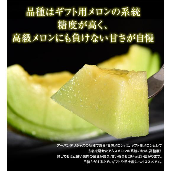 『アーバンデリシャス（品種：タカミ）』青森県産 つがりあんメロン 秀品 1玉 約1.5kg 産地箱 ※常温 送料無料05