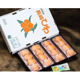 超大粒びわ　甘香　長崎県産 3～5L 約250g×4パック（計12～16粒）産地箱 ※冷蔵