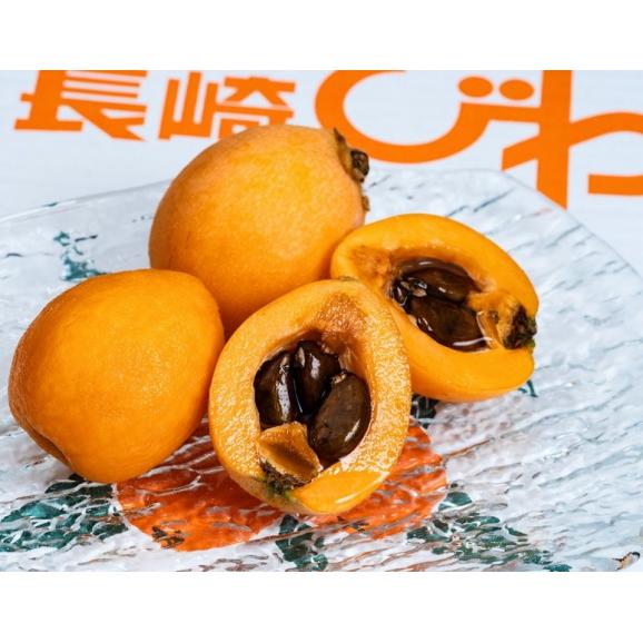 超大粒びわ　甘香　長崎県産 3～5L 約250g×4パック（計12～16粒）産地箱 ※冷蔵02