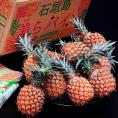 『完熟 沖縄パインアップル（スナックパイン）』沖縄県産 M～2L 計約7kg（8～12玉）産地箱 風袋込 ※冷蔵　送料無料