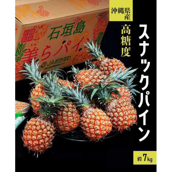 『完熟 沖縄パインアップル（スナックパイン）』沖縄県産 M～2L 計約7kg（8～12玉）産地箱 風袋込 ※冷蔵　送料無料02